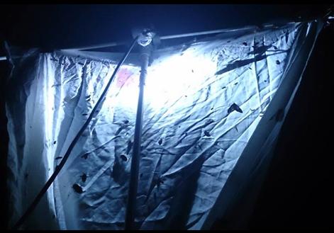 «ö¦¹¦b·sµøµ¡ÂsÄý¹Ï¤ù