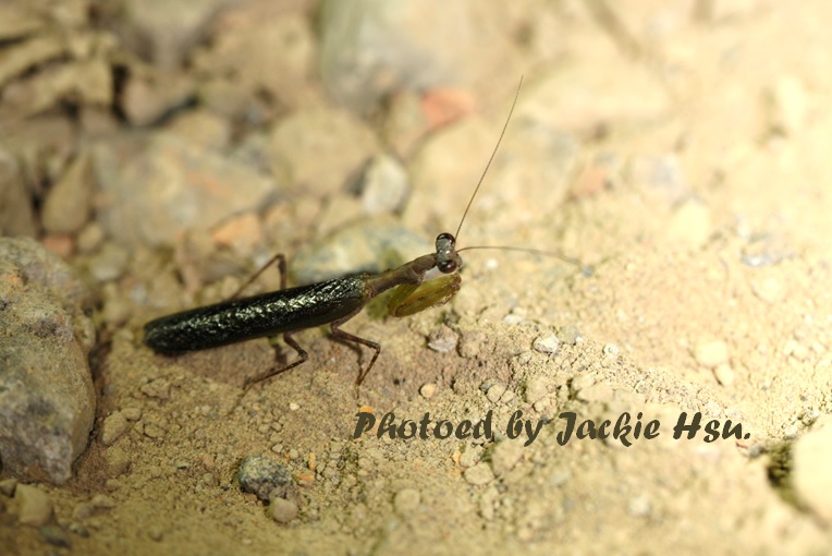 «ö¦¹¦b·sµøµ¡ÂsÄý¹Ï¤ù