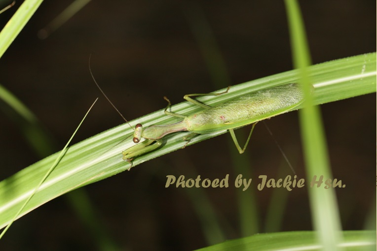 «ö¦¹¦b·sµøµ¡ÂsÄý¹Ï¤ù