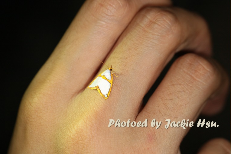 «ö¦¹¦b·sµøµ¡ÂsÄý¹Ï¤ù