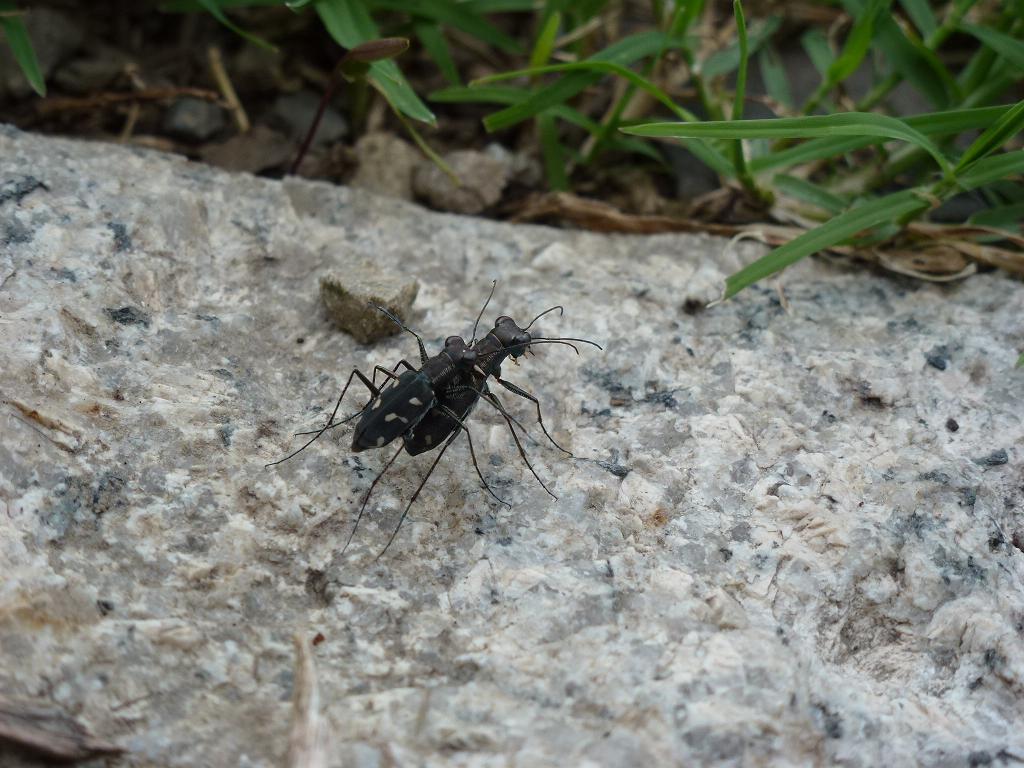 «ö¦¹¦b·sµøµ¡ÂsÄý¹Ï¤ù