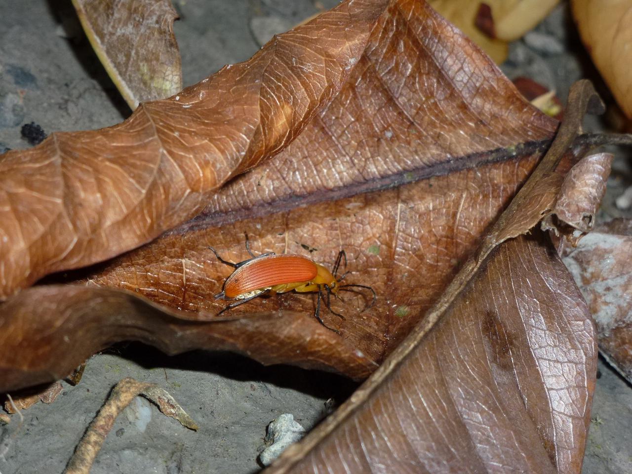 «ö¦¹¦b·sµøµ¡ÂsÄý¹Ï¤ù