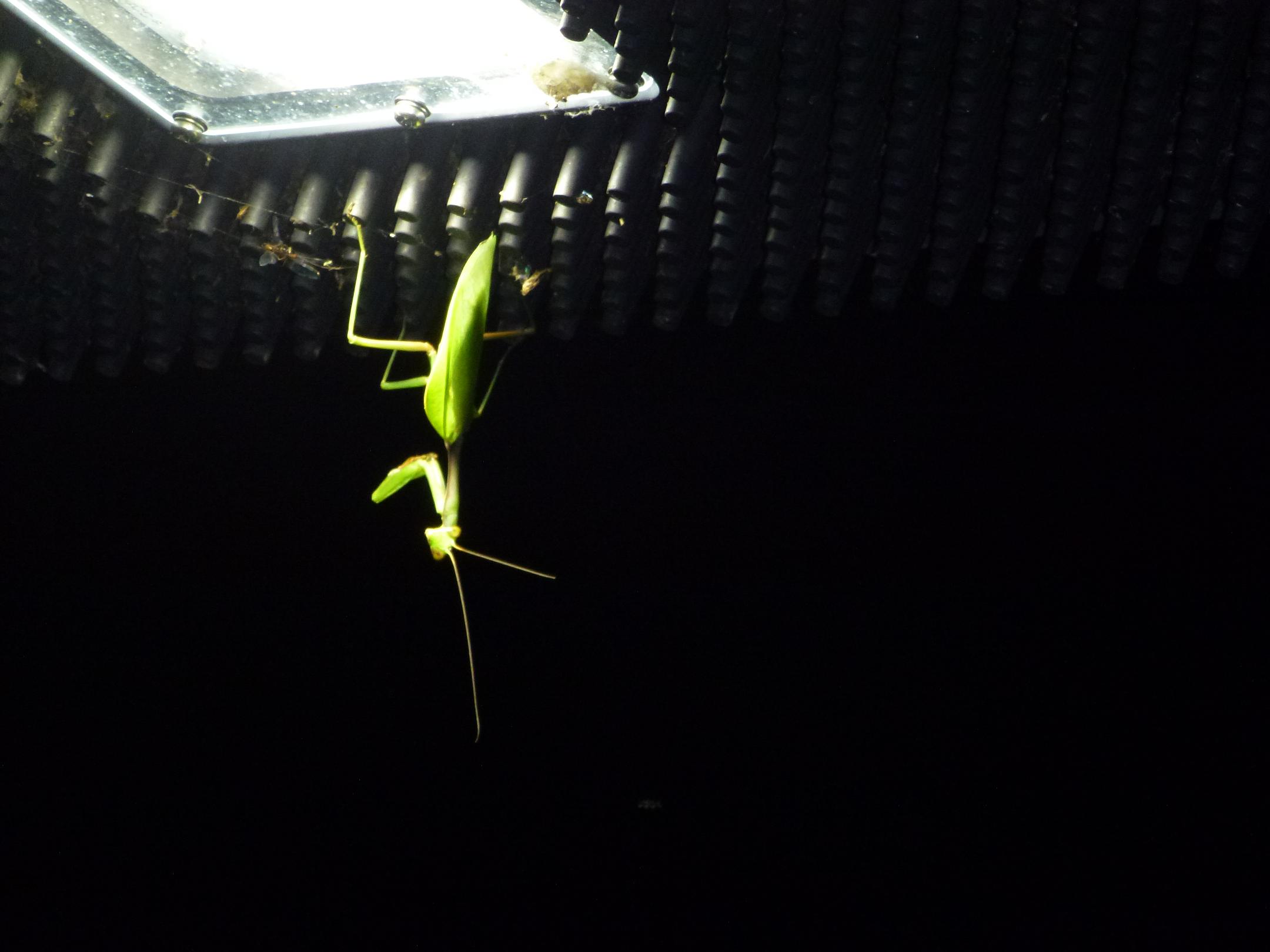 «ö¦¹¦b·sµøµ¡ÂsÄý¹Ï¤ù