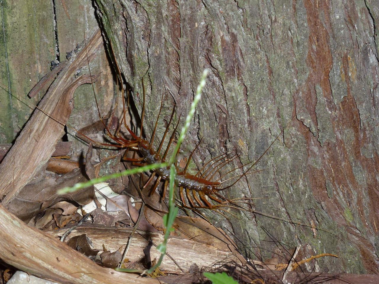 «ö¦¹¦b·sµøµ¡ÂsÄý¹Ï¤ù