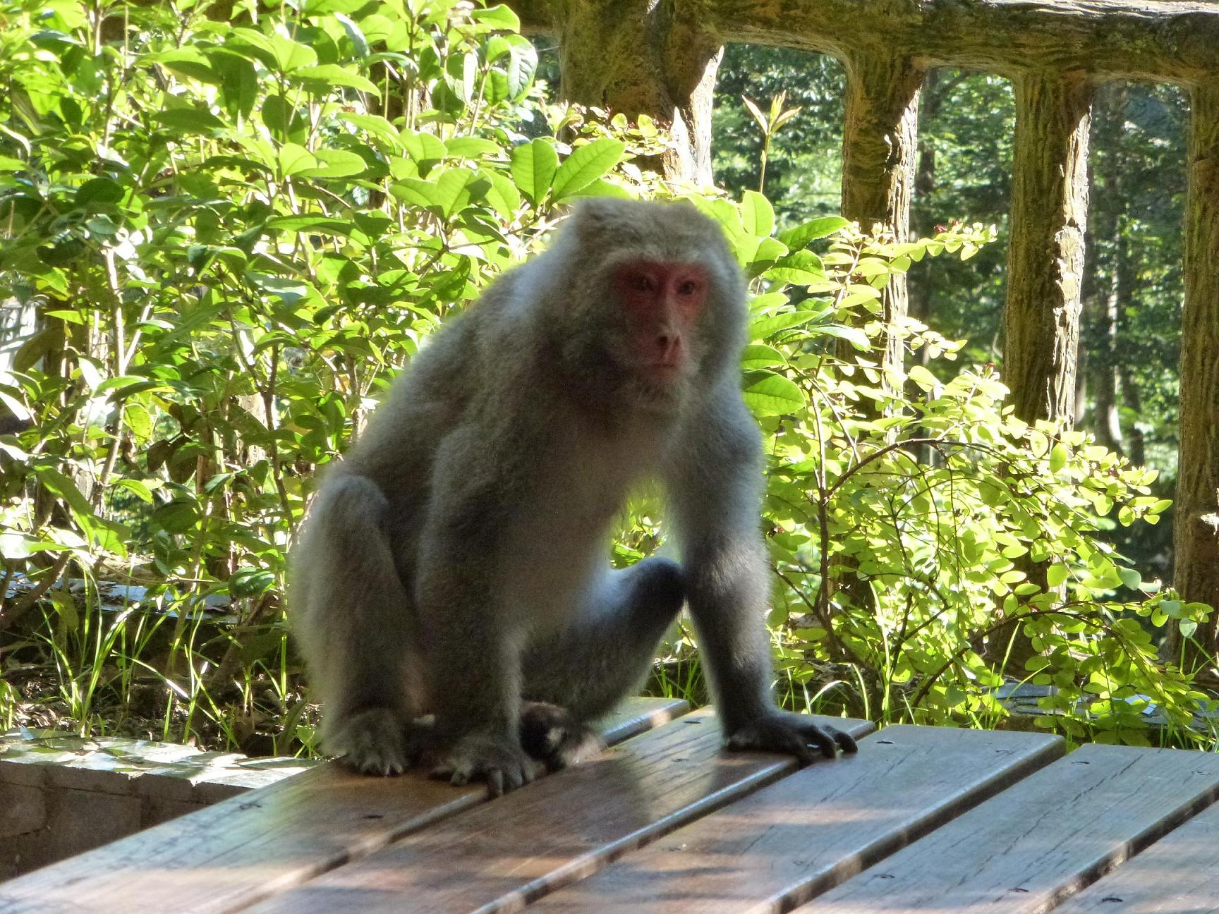 «ö¦¹¦b·sµøµ¡ÂsÄý¹Ï¤ù