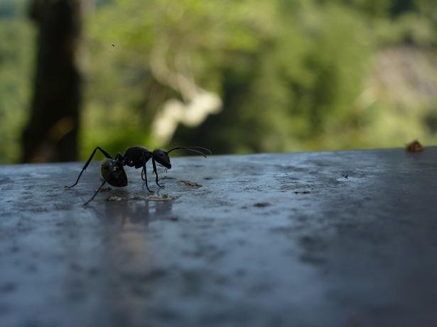 «ö¦¹¦b·sµøµ¡ÂsÄý¹Ï¤ù