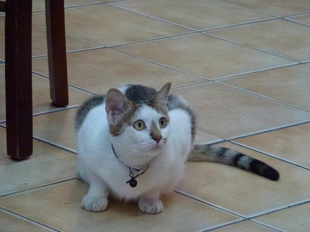 «ö¦¹¦b·sµøµ¡ÂsÄý¹Ï¤ù