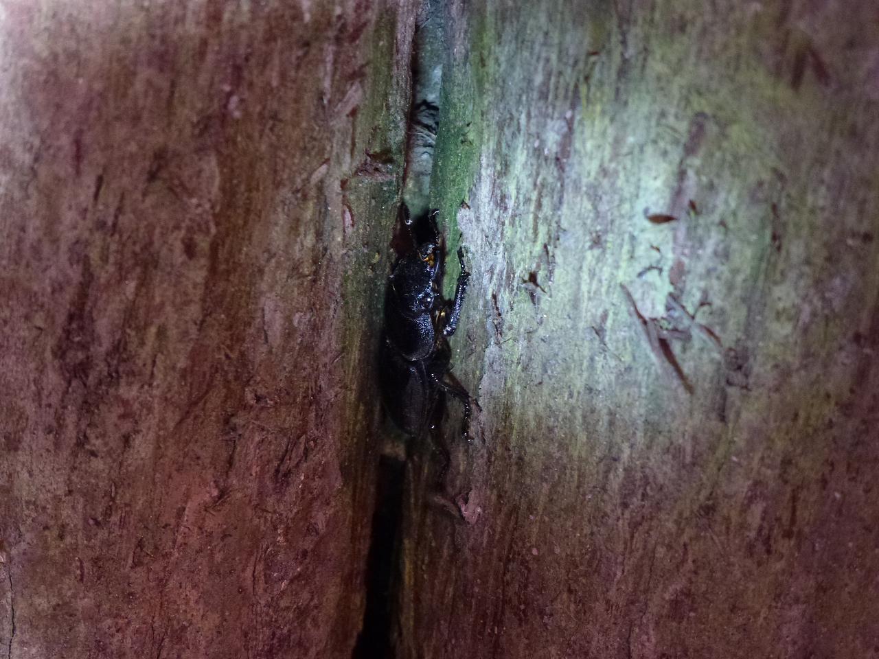 «ö¦¹¦b·sµøµ¡ÂsÄý¹Ï¤ù