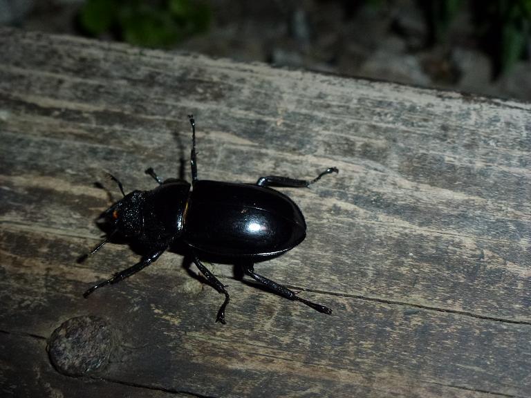 «ö¦¹¦b·sµøµ¡ÂsÄý¹Ï¤ù