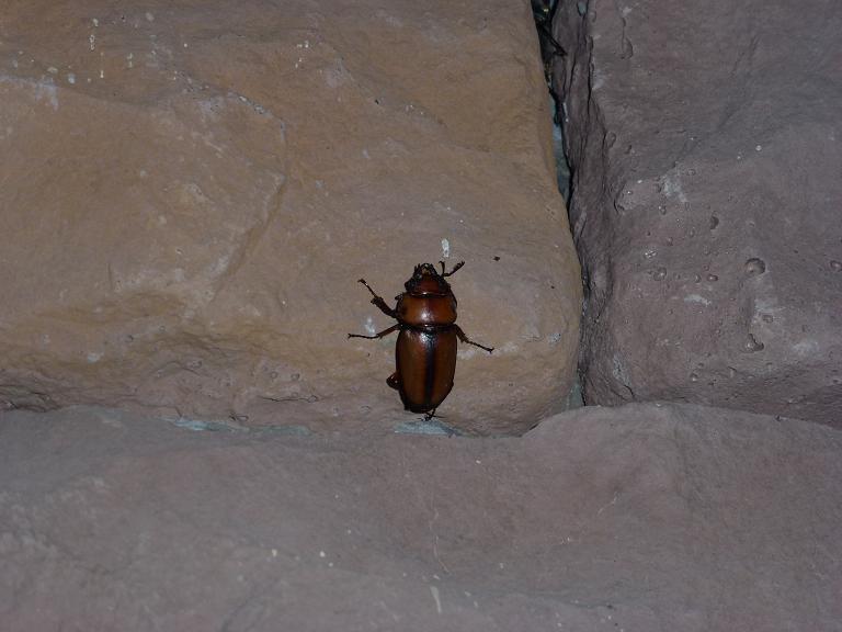 «ö¦¹¦b·sµøµ¡ÂsÄý¹Ï¤ù