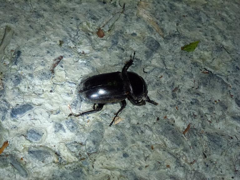 «ö¦¹¦b·sµøµ¡ÂsÄý¹Ï¤ù