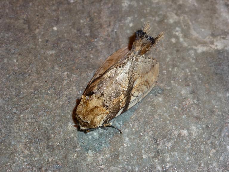 «ö¦¹¦b·sµøµ¡ÂsÄý¹Ï¤ù