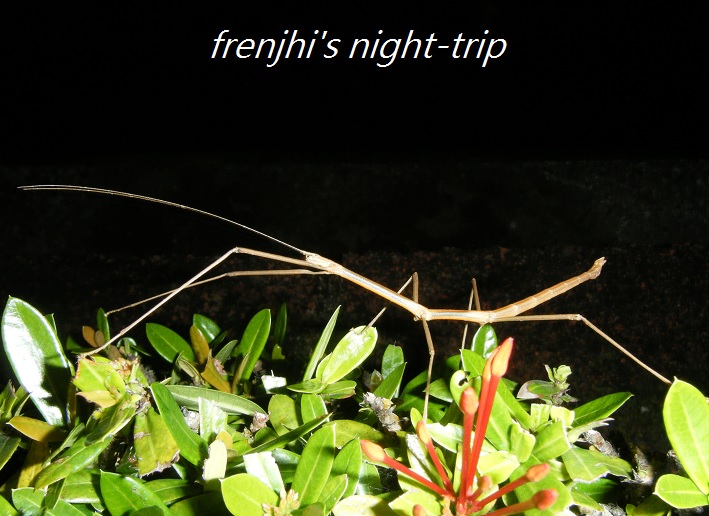 «ö¦¹¦b·sµøµ¡ÂsÄý¹Ï¤ù