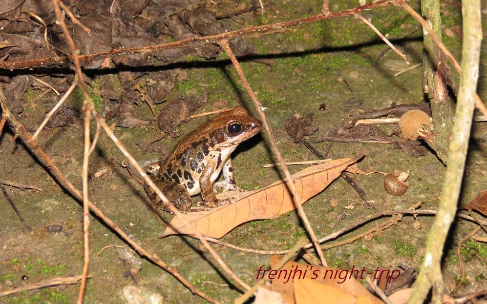 «ö¦¹¦b·sµøµ¡ÂsÄý¹Ï¤ù