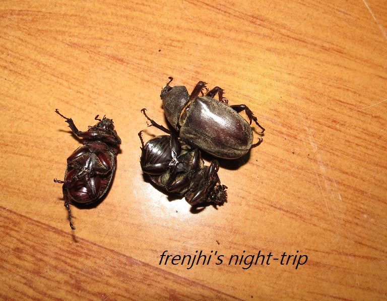 «ö¦¹¦b·sµøµ¡ÂsÄý¹Ï¤ù