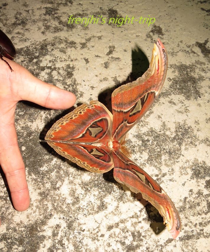 «ö¦¹¦b·sµøµ¡ÂsÄý¹Ï¤ù