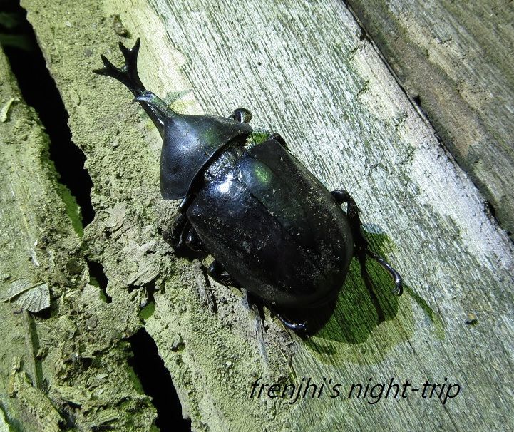 «ö¦¹¦b·sµøµ¡ÂsÄý¹Ï¤ù