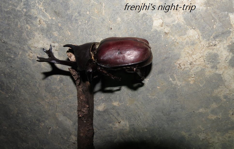 «ö¦¹¦b·sµøµ¡ÂsÄý¹Ï¤ù