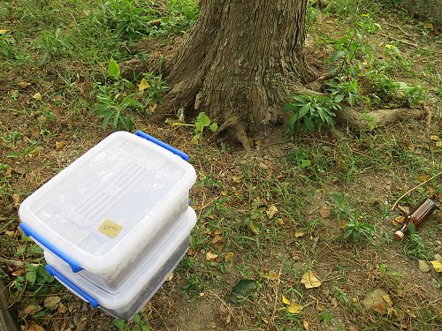 «ö¦¹¦b·sµøµ¡ÂsÄý¹Ï¤ù