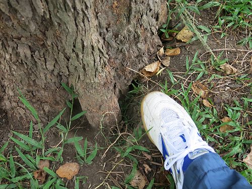 «ö¦¹¦b·sµøµ¡ÂsÄý¹Ï¤ù