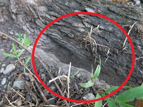 «ö¦¹¦b·sµøµ¡ÂsÄý¹Ï¤ù