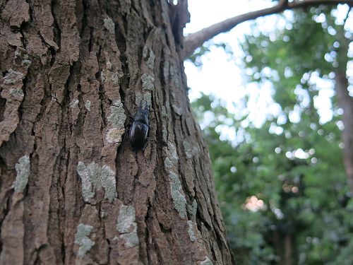 «ö¦¹¦b·sµøµ¡ÂsÄý¹Ï¤ù