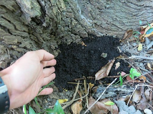 «ö¦¹¦b·sµøµ¡ÂsÄý¹Ï¤ù