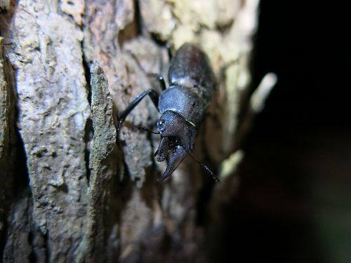 «ö¦¹¦b·sµøµ¡ÂsÄý¹Ï¤ù