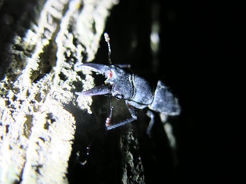 «ö¦¹¦b·sµøµ¡ÂsÄý¹Ï¤ù