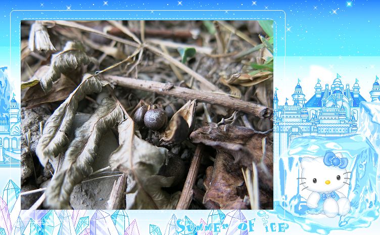 «ö¦¹¦b·sµøµ¡ÂsÄý¹Ï¤ù