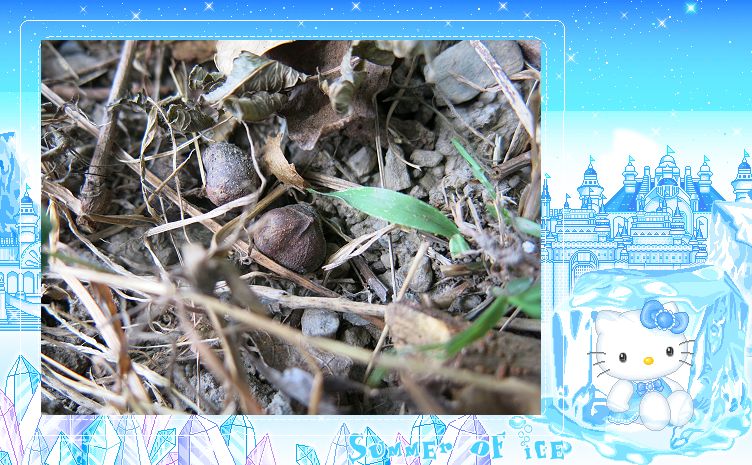 «ö¦¹¦b·sµøµ¡ÂsÄý¹Ï¤ù