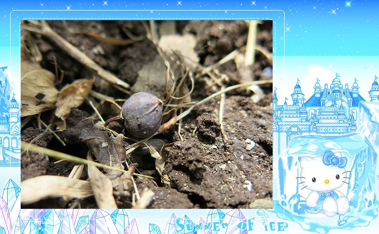 «ö¦¹¦b·sµøµ¡ÂsÄý¹Ï¤ù