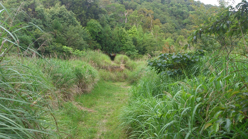 «ö¦¹¦b·sµøµ¡ÂsÄý¹Ï¤ù