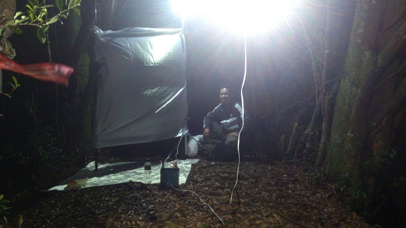 «ö¦¹¦b·sµøµ¡ÂsÄý¹Ï¤ù