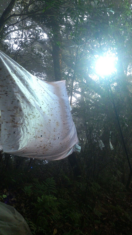 «ö¦¹¦b·sµøµ¡ÂsÄý¹Ï¤ù