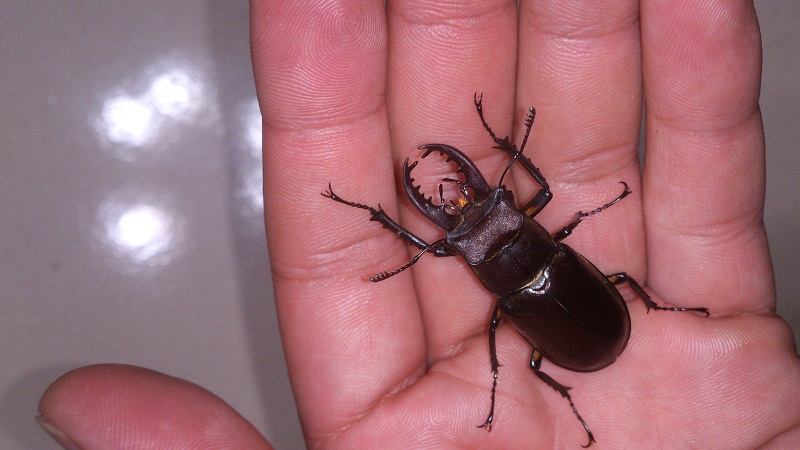 «ö¦¹¦b·sµøµ¡ÂsÄý¹Ï¤ù