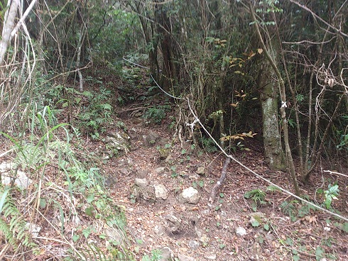 «ö¦¹¦b·sµøµ¡ÂsÄý¹Ï¤ù