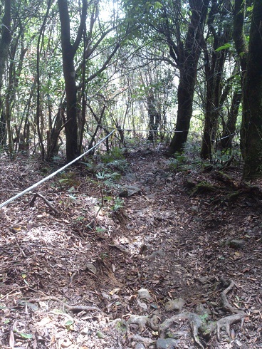 «ö¦¹¦b·sµøµ¡ÂsÄý¹Ï¤ù