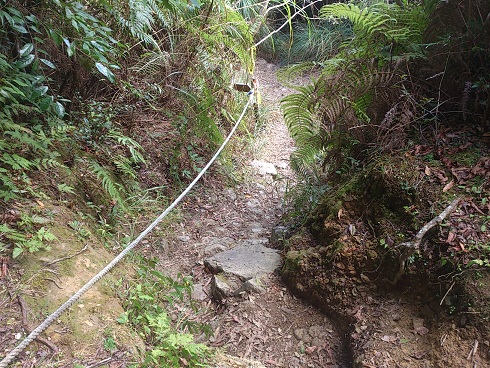 «ö¦¹¦b·sµøµ¡ÂsÄý¹Ï¤ù