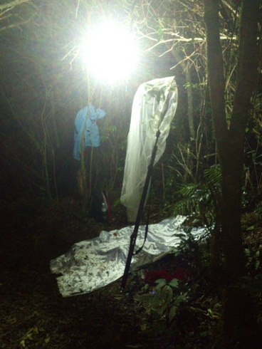 «ö¦¹¦b·sµøµ¡ÂsÄý¹Ï¤ù