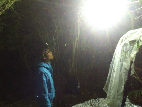 «ö¦¹¦b·sµøµ¡ÂsÄý¹Ï¤ù