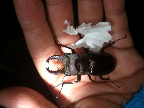 «ö¦¹¦b·sµøµ¡ÂsÄý¹Ï¤ù