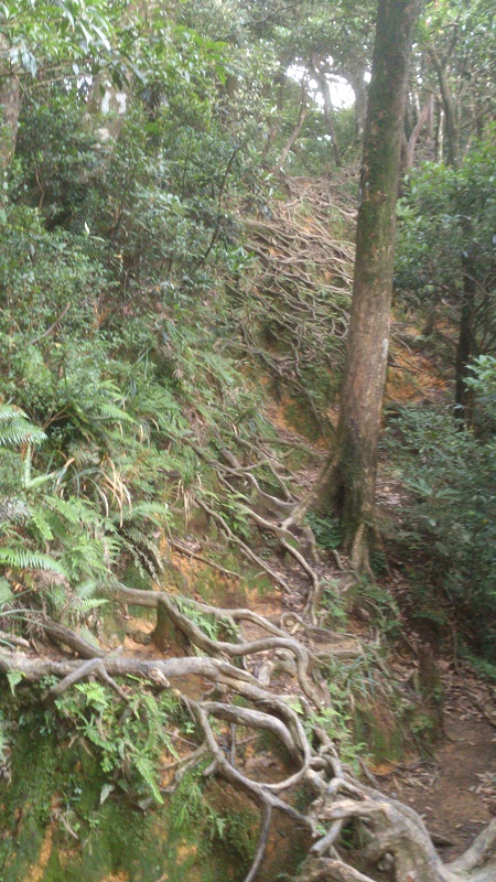 «ö¦¹¦b·sµøµ¡ÂsÄý¹Ï¤ù