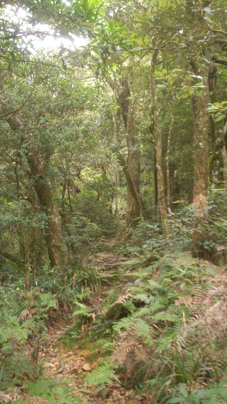 «ö¦¹¦b·sµøµ¡ÂsÄý¹Ï¤ù