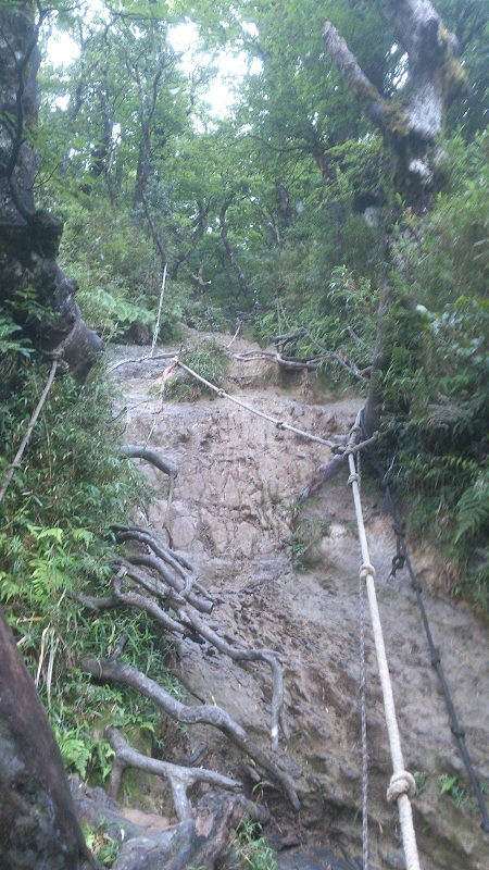 «ö¦¹¦b·sµøµ¡ÂsÄý¹Ï¤ù