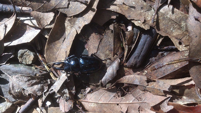 «ö¦¹¦b·sµøµ¡ÂsÄý¹Ï¤ù