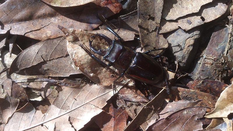 «ö¦¹¦b·sµøµ¡ÂsÄý¹Ï¤ù