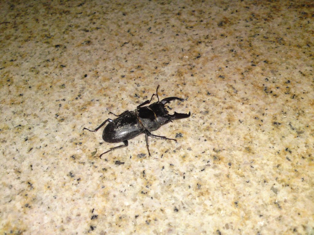 «ö¦¹¦b·sµøµ¡ÂsÄý¹Ï¤ù