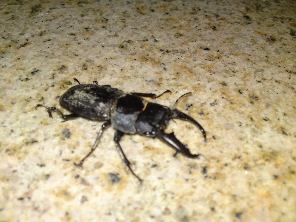 «ö¦¹¦b·sµøµ¡ÂsÄý¹Ï¤ù