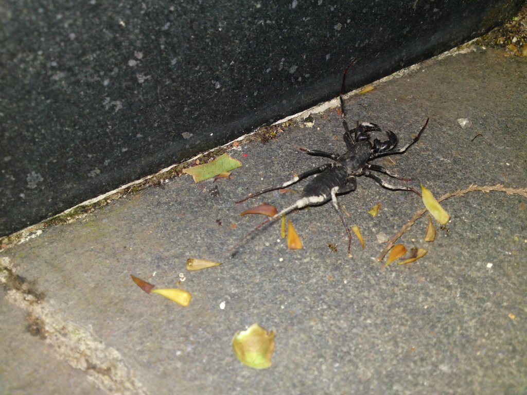 «ö¦¹¦b·sµøµ¡ÂsÄý¹Ï¤ù